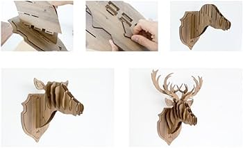 51JyU8P1J4L._AC_UF350,