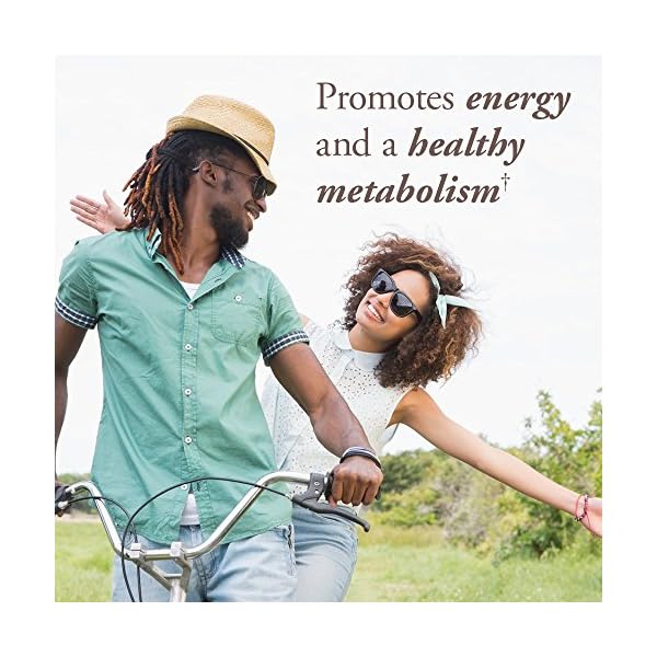 Garden-of-Life-Mykind-Organics-Vitamin-Once-Daily-Vegan-B-Complex-Vitamins-with-Folate-B12-Niacin-B6-Biotin-Organic-Whole-Food-B-Complex-Supplement-for-Metabolism-EnergyBlend-1-30-Count Garden of Life Organics Vitamin B Complex Once Daily, 30 Tablets, Vegan B Complex Vitamins with Folate, B12, Niacin, B6, Biotin, Organic Whole Food B Complex Supplement for Metabolism & Energy