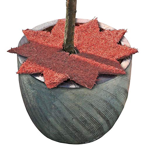 AFP Kokos-Abdeckscheibe Winterschutz Pflanzen Stern, rot, Ø 35cm / Frostschutz Kübelpflanzen/Verdunstungsschutz Topfpflanzen/Mulchscheibe Garten / 2 Jutesäckchen gratis