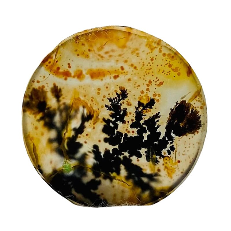 Agate dendritique naturelle ronde 19mm pour création de bijoux et pendentif Shajar