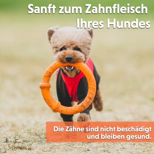 LaRoo Hund Frisbee Hundefitness Ring,Wasserspielzeug Unzerstörbare Float Hunde Disc Flugscheibe Spielzeug,Sommer Pet Training für Mittel und kleine Hunde