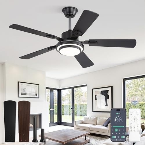 Fanbulous 48 Inch Ceiling Fans with Lights and Remote Black Ceiling Fan with 8 Dual-Color Blades Indoor/Outdoor Large Ceiling Fans Reversible DC Motor 6-Speed 3CCT for Living Room Kitchen Patio