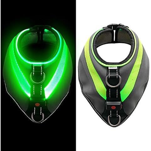 PetSol Ultra Bright LED Dog Harness Coat USB Rechargeable Lithium Battery. Warmth & Protection During Winter. Extra Visibility & Safety (Small) Cover