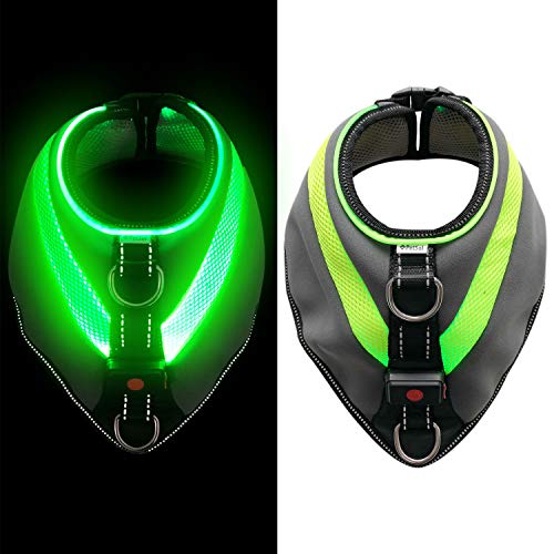 PetSol LED Hond Tuigje Ultra heldere LED hondentuig jas USB oplaadbare lithiumbatterij. Warmte en bescherming tijdens de winter. Extra zichtbaarheid en veiligheid (Groot)