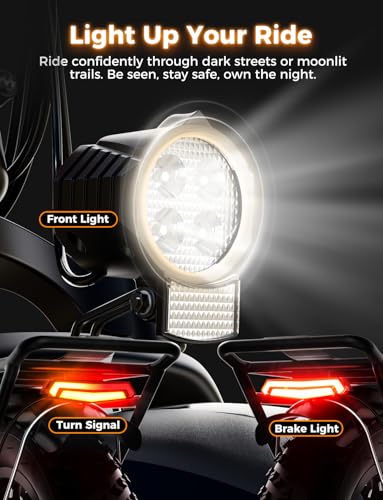 Electric Folding Mountain Bike