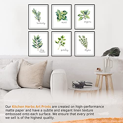 Kitchen Herbs Art Prints - Botanical Prints - (Set Of 6) - Unframed - 8X10S #TOP2