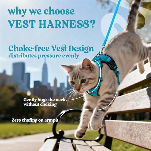 Image of rabbitgoo Cat Harness and Leash Set, Escape Proof Vest, Teal