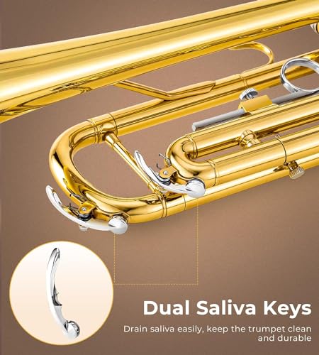 vangoa bb trumpet brass standard gold trumpet instrument for student school band orchestra adult kid beginner with hard case stand cleaning kit white gloves valve oil and 7c mouthpiece