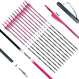 Fanxier 30-Inch Carbon Arrow Hunting Target Practice Arrow，with Quiver, Detachable Tip, Suitable for Compound Bow & Recurve Bows (12 Pcs Arrow + Quiver)