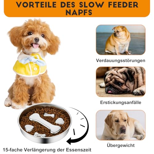 Antischlingnapf Hunde Edelstahl - Anti Schling Napf Hund Ø22cm Slow Feeder aus 304 Edelstahl, Metall Schlecknapf für Schnelle Esser, Spülmaschinengeeignet & Langlebig, für mittelgroße Hunde