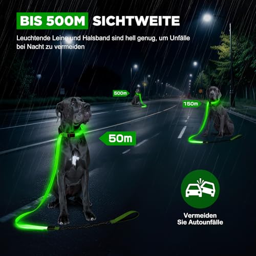 Leuchthalsband Hund & LED Hundeleine Set 2-in-1 Aufladbar mit Typ-C, 500m Sichtbarkeit Dehnbares Band für Nachtspaziergänge（Grün，L