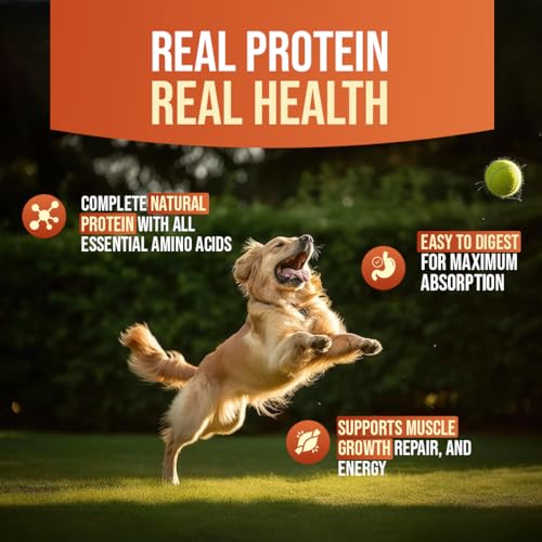 Image of FirstBark Dog Treats for Adult Dog & Puppy - Snack Delights, Soft Chews, Training & Healthy Chews Chicken Jerky for Dogs, Small Dogs & Shih Tzu | Dog Snacks & Puppy Treats-Assorted (70g) x5