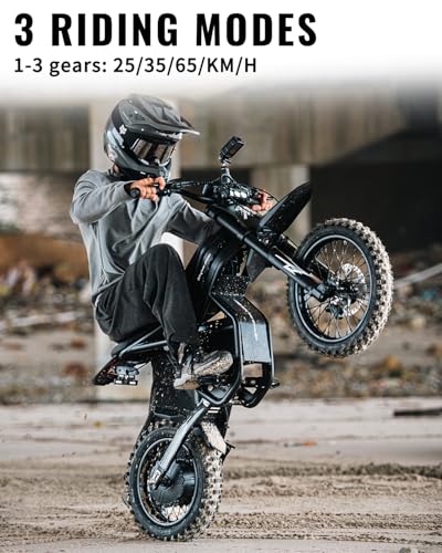 Image of GT73 / GT54 Electric Dirt Bike for Adults Teens - 3000W / 2500W Motor 50 /37 MPH High-Speed, 25 inch /14 inch Fat Tires & Dual Removable Battery(60V /48V) | All-Terrain Off-Road eBike for Snow, Sand