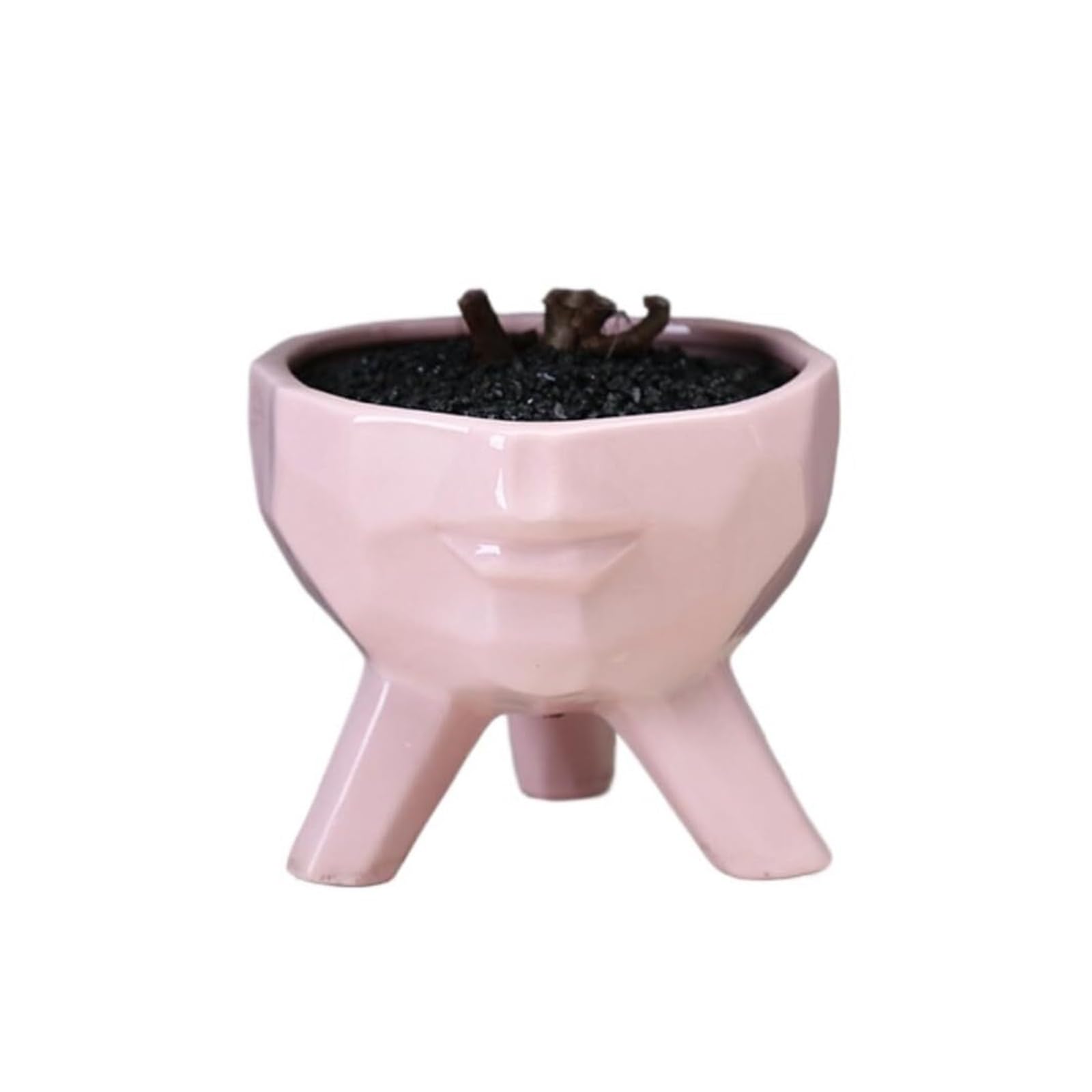 LFWFTPFKE rustic Creative Ceramic HumanFace Succulent Plant Pot Herb Bonsai Home Decor Miniature Landscape for indoor use(Pink)
