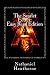 The Scarlet Letter: Easy Read Edition: Everything You Need in Half the Time