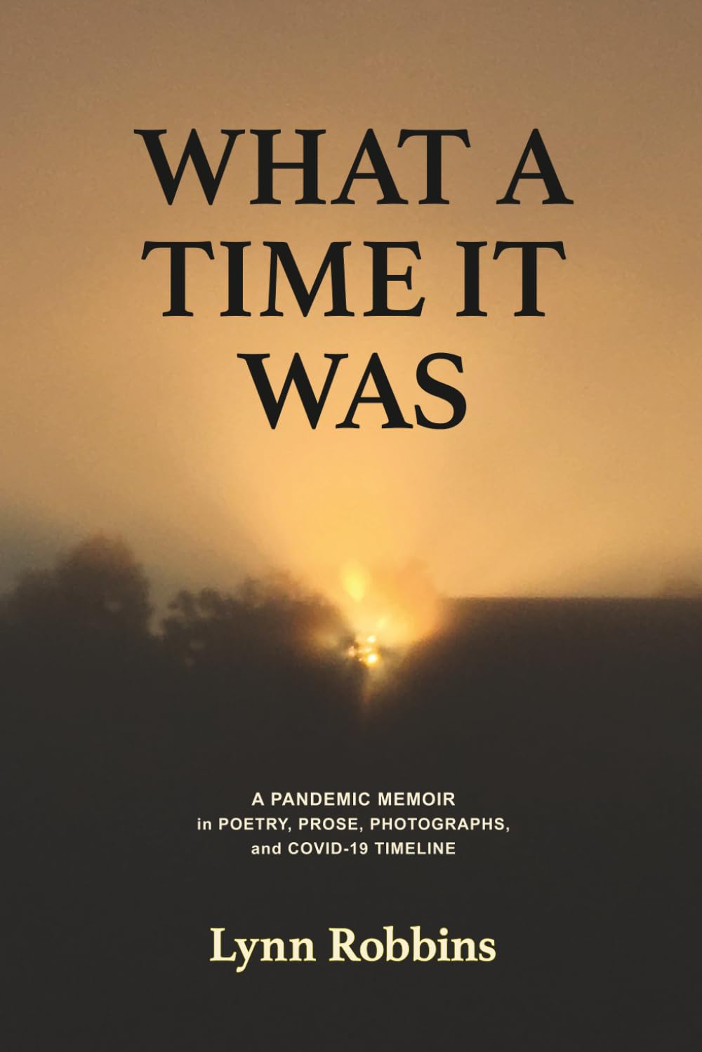 What a Time It Was: A Pandemic Memoir in Poetry, Prose, Photographs, and COVID-19 Timeline