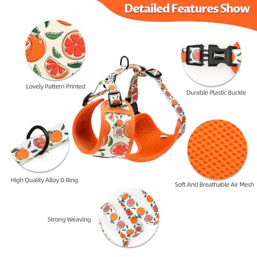 Small Dog Harness and Leash Set of 6, No Pull Soft Lightweight Mesh Puppy Harness, Adjustable Cute Floral Pattern Pet Harness for Small Medium Dogs - Image 4