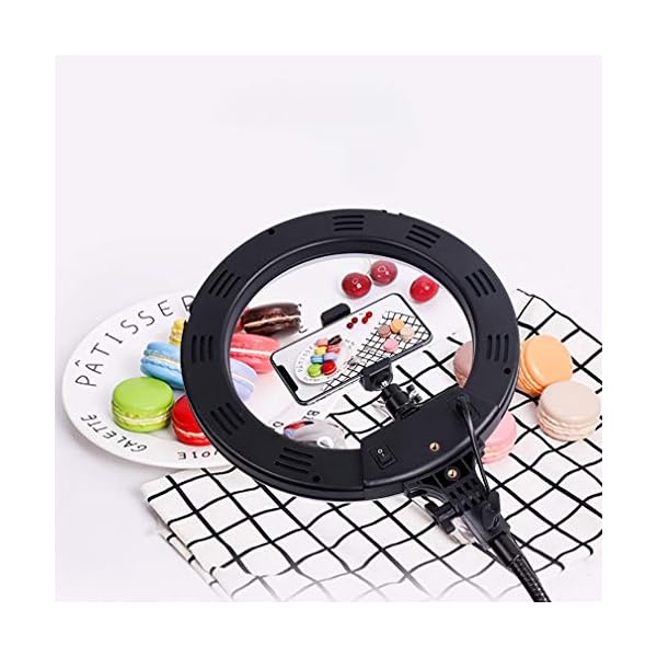 WYH Makeup Licht 10 '' Ringlicht mit Telefonhalter für TikTok YouTube Live Stream Makeup Fotografie für iOS Android 3… – Bild 6