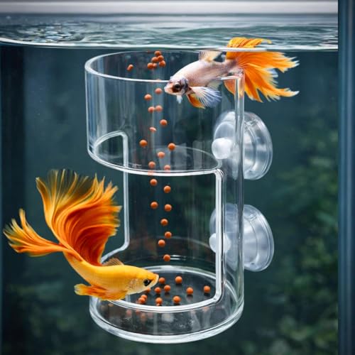Image of SANSEFERO Small Acrylic Floating Aquarium Fish Feeder with Wall-Mounted Suction Cup for Freshwater & Saltwater Tanks, Durable Clear Design Floating Fish Feeder (Round Feeder)