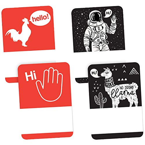 Avery Premium Ice Breaker Name Tags, Astronaut, Llama, Rooster, Wave, No Lift No Curl, 36 Handwriteable Name Stickers