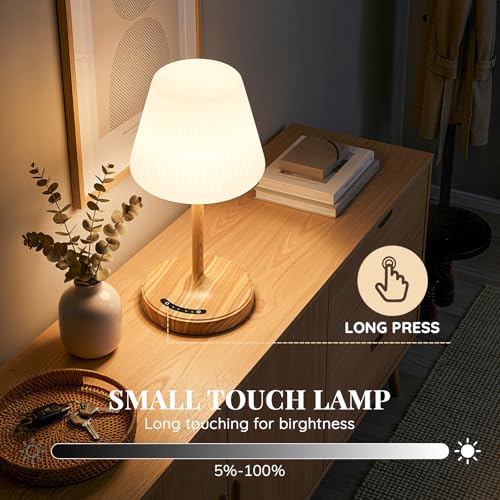 Image of Shower Lamp Waterproof Bathroom Lamp Decor Small Lamp for Kitchen Outdoor | 3color modes, touch dimmable, cordless, rechargeable, heavy base, 4000mah battery lamp, use for shower, bathtub, toilet light