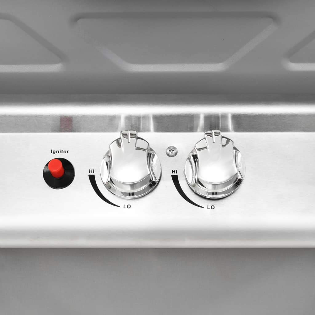 Homgoday Barbecue a gas con 2 zone di cottura, in acciaio inox, colore argento