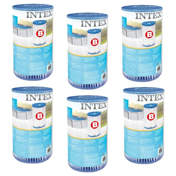 29005 Cartuccia B ricambio filtro piscina fuori terra per Intex (6)