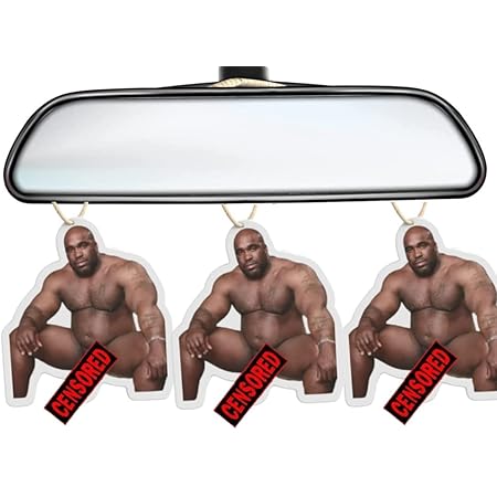 Amazon.com: Jeffrey Epstein Air Freshener - This Air Freshener Didn't