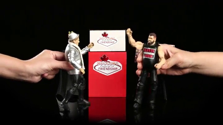 Amazon.com: WWE Epic Moments Festival of Friendship 2-Pack : Toys