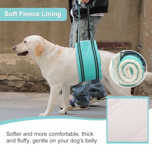 Dog Lifting Harness,Mobility Aids for Medium and Large Dogs,Adjustable Assistance Support Strap for Injured,Disabled,Elderly Dogs (Green, M) - Image 6