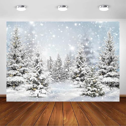 Avezano Telón de fondo de invierno, bosque nevado, país de las maravillas, copo de nieve, paisaje de invierno, fondo de fotos familiar, Navidad, vacaciones, fiesta, retrato, telón de fondo para cabina