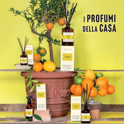 Profumi Casa Spic Agr Ricar - 6