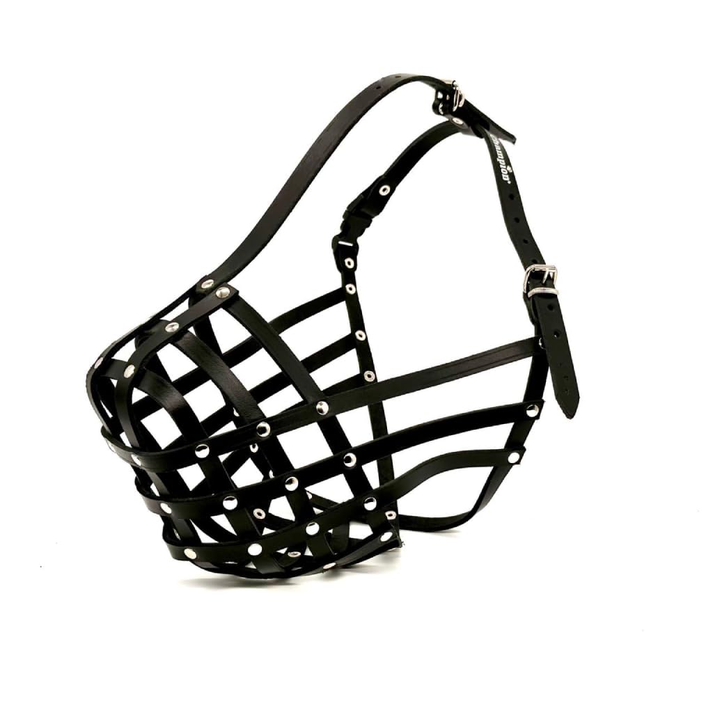 Light Genuine Leather Dog Muzzle for Rottweiler,Mastiff and Other Similar Snout (R2, Black)