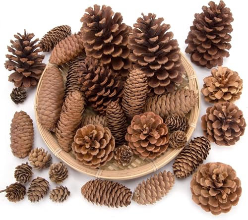 Image of 20PCS Natural Pinecone Ornaments, Pine Cones Bulk Natural Pinecones Assortment for Fall Winter Christmas Bowl Fillers (Natural)