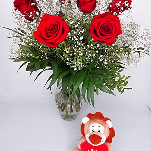 EL JARDÍ D´ESTHER-Ramo de 6 rosas rojas naturales con osito amor-Amoroso-FLORES NATURALES A DOMICILIO-FLORES FRESCAS-ENTREGA EN 24 HORAS DE LUNES A SABADO Cover