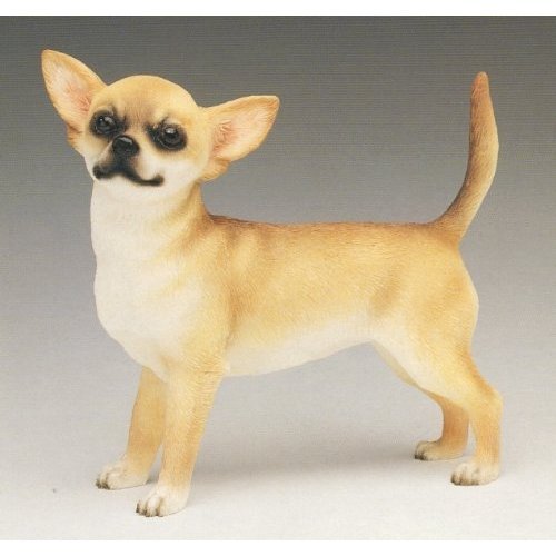 Dog Studies Small Chihuahua, Figurine By Leonardo, Designed In England, Size: 4.5 x 4.5 inches