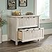Sauder Costa 2 Drawer Lateral File Cabinet with Lock for Home Office, in Chalked Chestnut