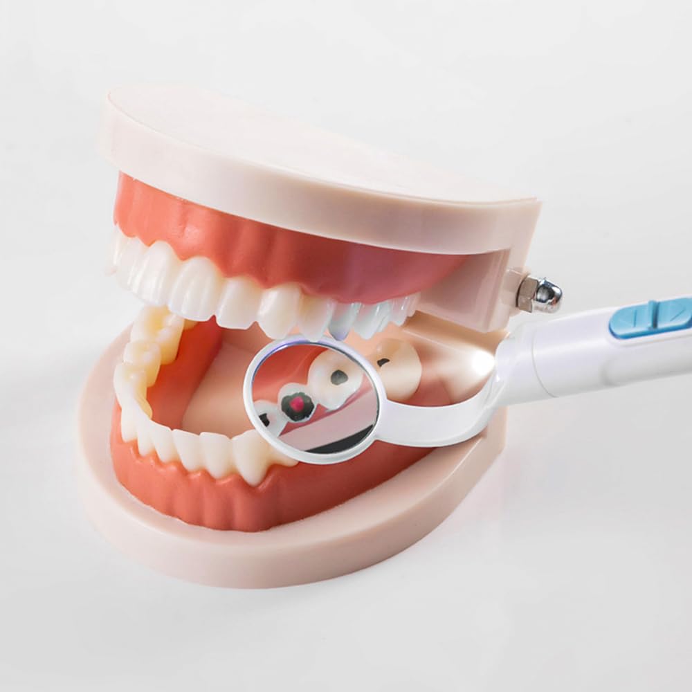 Sarini Paquete de 2 Espejos dentales con luz USB antivaho LED Dual Rosa y Azul