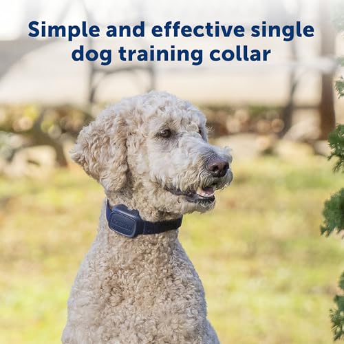 PetSafe Basic Dog Trainer with Remote Waterproof Training Collar 300 ft Range Tone, Vibration and 8 Levels of Static by PetSafe - Image 2