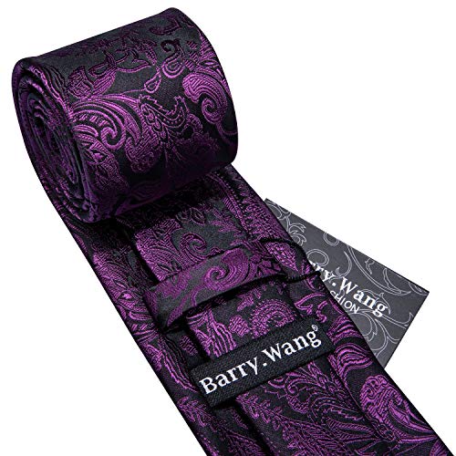 Image of Barry.Wang Paisley Tie Fashion Set Hanky Cufflinks Neckties for Men Woven Silk