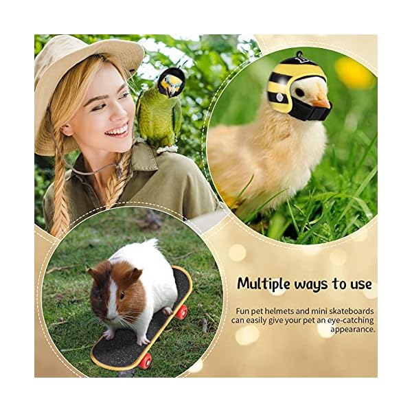 Frienda 4 pieces bearded dragon accessories bearded dragon funny toy lizard helmet hat and mini skateboard for lizard bearded dragon hamster parrot reptile small animals - image 5