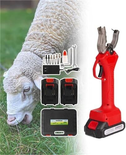 Outil de marquage électrique bétail en inox pour éviter la douleur animale