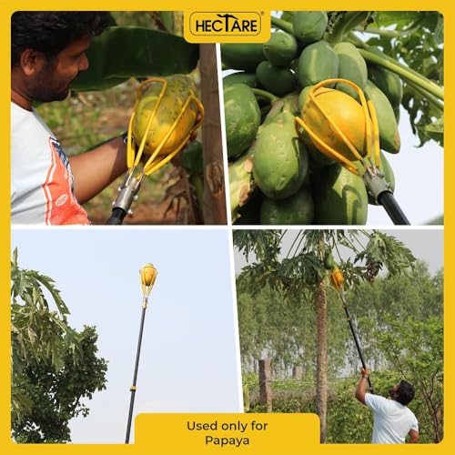 Image of HECTARE Papaya Harvesting Tool Head Without Pole | Durable Powder-Coated Steel Fruit Picker Attachment | Easy to Fit | Ideal for Tall Fruit Trees