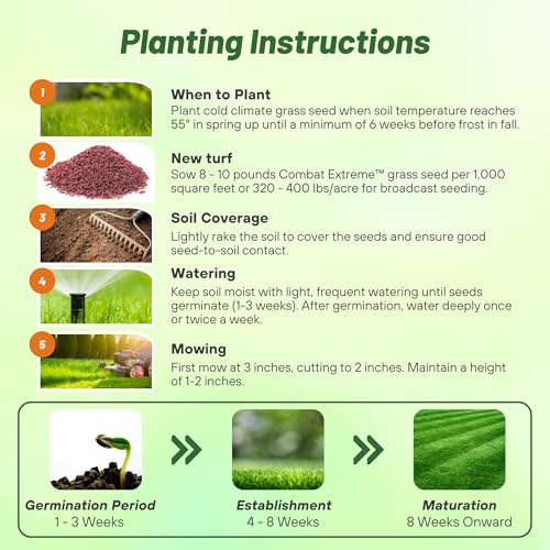 Grass Seed Blend For Shady Lawns Low Sunlight