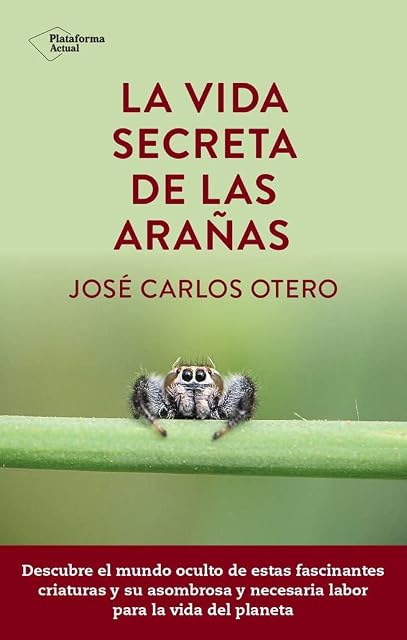 Portada de La vida secreta de las arañas