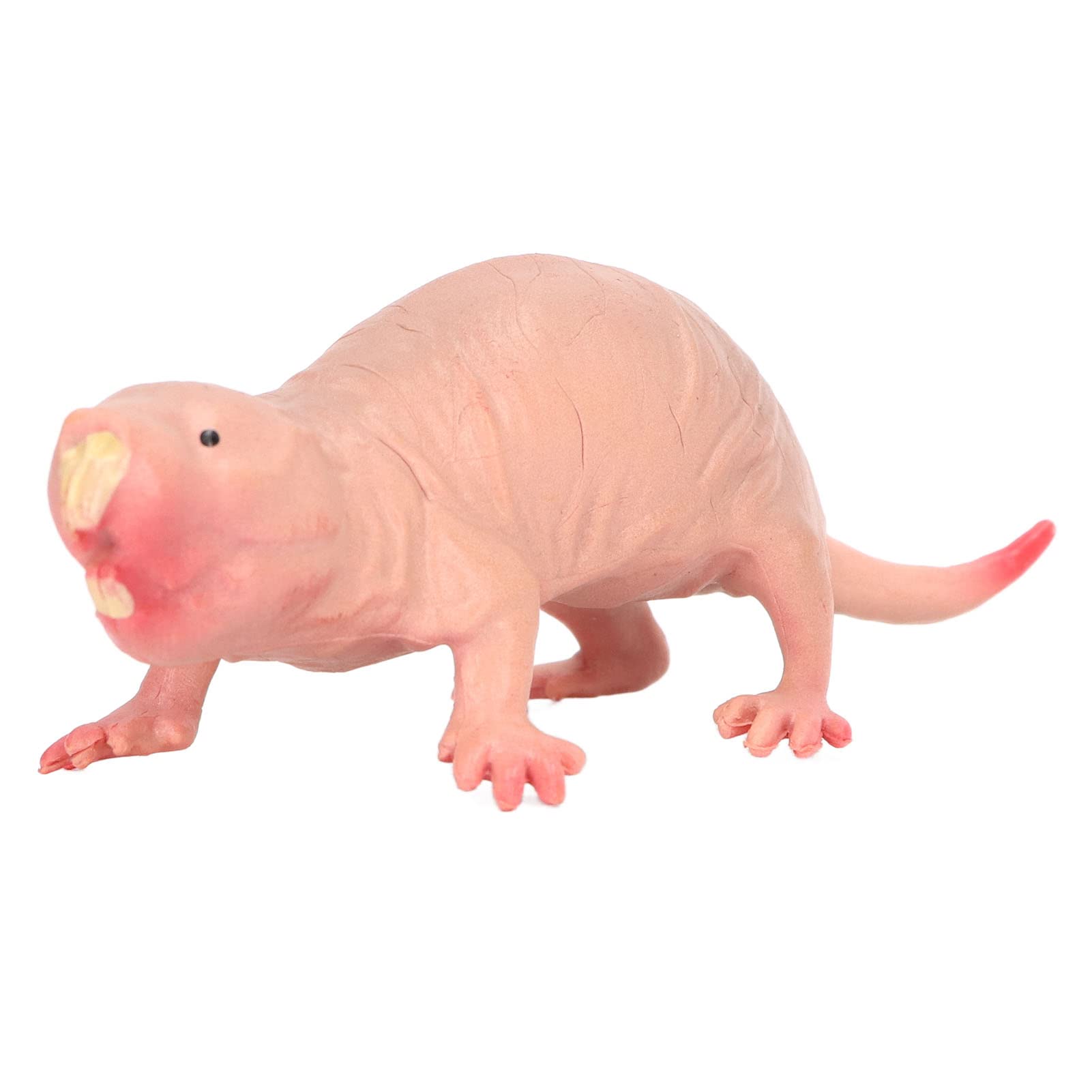 Plastic Mole Figurine Toy, Simulation Static Full Core Naked Mole Model for Children Sand Table Ornaments