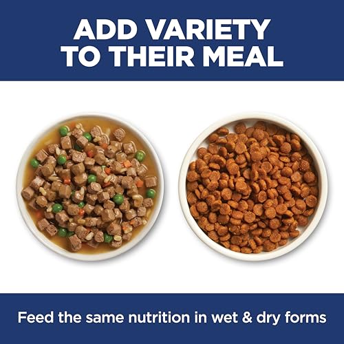 Hill's Science Diet Sensitive Stomach & Skin Dry Cat Food - image 8