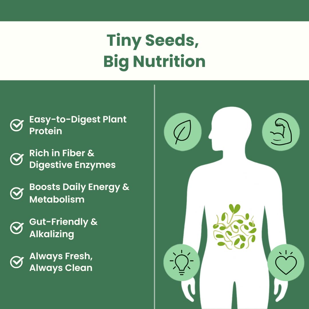 Gutbasket Sprouting Kit | Includes 2 Glass Sprout Jars (700 ml Each) with Sprouting Lids + Organic Seed Mix | Sprout Maker for Moong, Methi, Chana, Alfalfa, Radish | Sprout Jar with Guide — Amazon image 7