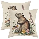 Juego de 2 fundas de almohada de marmota, 16 x 16 pulgadas