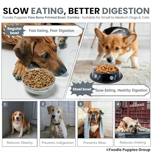 Image of Foodie Puppies Stainless Steel Dog Bowl Combo - (Medium, 700ml) Food and Water Feeding Gift Bowl | Suitable for Dogs, Cats and Other Pets I Paw Bone Print, Anti-Skid Rubber Base (White + Black)